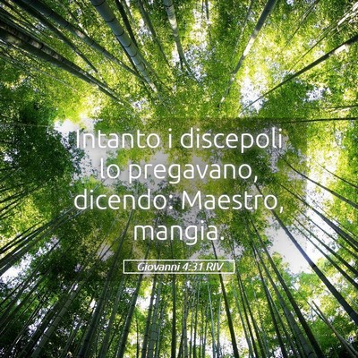 Picture 05 - Giovanni 4:31 RIV - Intanto i discepoli lo pregavano, dicendo: - Bible Verse Picture