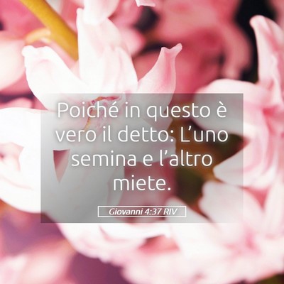 Picture 05 - Giovanni 4:37 RIV - Poiché in questo è vero il detto: L’uno - Bible Verse Picture