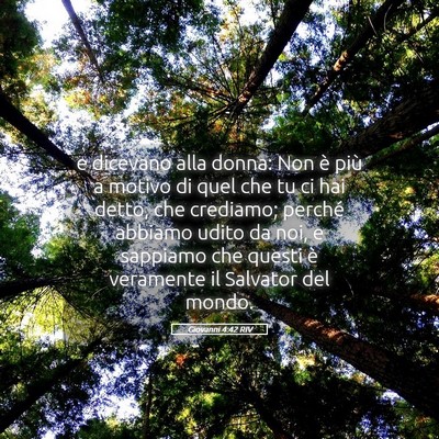 Picture 05 - Giovanni 4:42 RIV - e dicevano alla donna: Non è più a motivo di - Bible Verse Picture