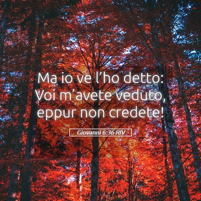 Picture 05 - Giovanni 6:36 RIV - Ma io ve l’ho detto: Voi m’avete veduto, - Bible Verse Picture