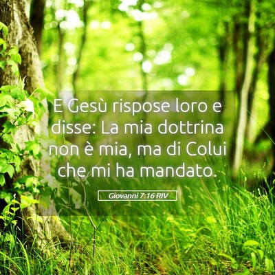 Picture 05 - Giovanni 7:16 RIV - E Gesù rispose loro e disse: La mia dottrina non - Bible Verse Picture