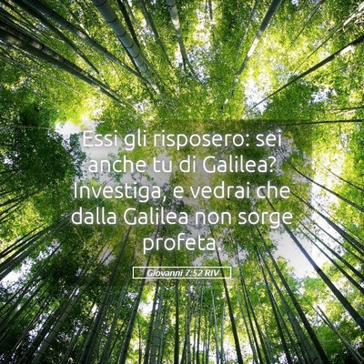 Picture 05 - Giovanni 7:52 RIV - Essi gli risposero: sei anche tu di Galilea? - Bible Verse Picture