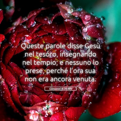 Picture 05 - Giovanni 8:20 RIV - Queste parole disse Gesù nel tesoro, insegnando - Bible Verse Picture