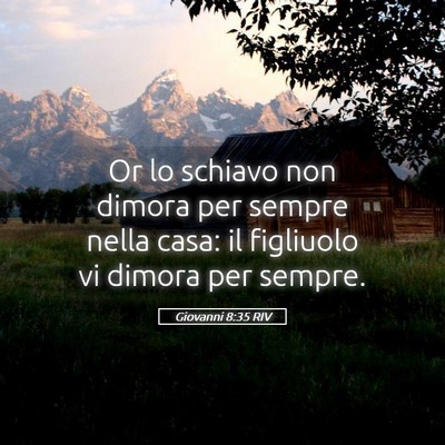 Picture 05 - Giovanni 8:35 RIV - Or lo schiavo non dimora per sempre nella casa: - Bible Verse Picture