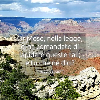 Picture 05 - Giovanni 8:5 RIV - Or Mosè, nella legge, ci ha comandato di - Bible Verse Picture