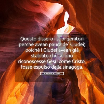 Picture 05 - Giovanni 9:22 RIV - Questo dissero i suoi genitori perché avean - Bible Verse Picture