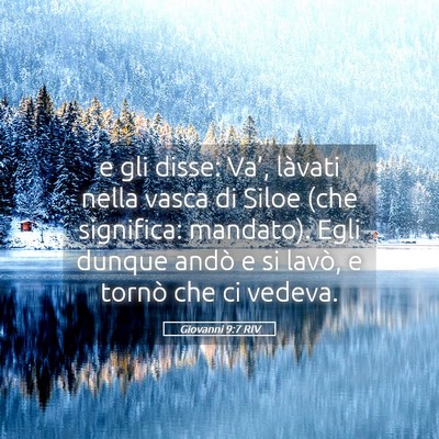 Picture 05 - Giovanni 9:7 RIV - e gli disse: Va’, làvati nella vasca di Siloe - Bible Verse Picture