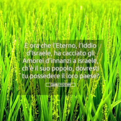Picture 05 - Giudici 11:23 RIV - E ora che l’Eterno, l’Iddio d’Israele, ha - Bible Verse Picture