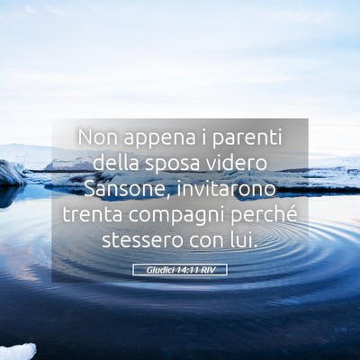 Picture 05 - Giudici 14:11 RIV - Non appena i parenti della sposa videro Sansone, - Bible Verse Picture