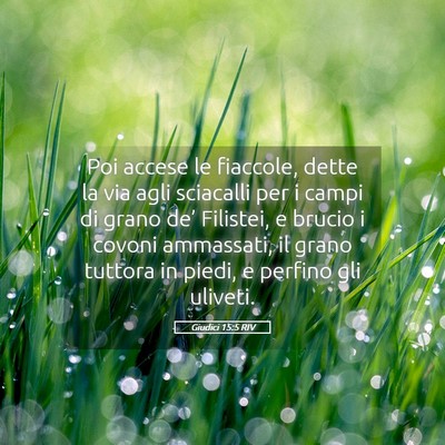 Picture 05 - Giudici 15:5 RIV - Poi accese le fiaccole, dette la via agli - Bible Verse Picture