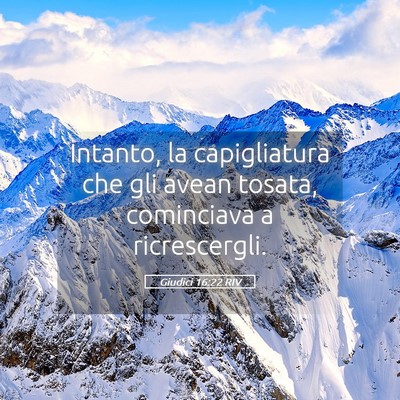 Picture 05 - Giudici 16:22 RIV - Intanto, la capigliatura che gli avean tosata, - Bible Verse Picture