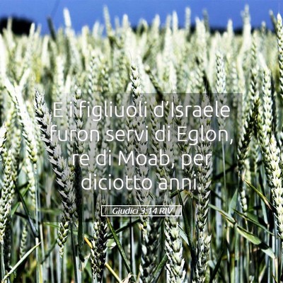 Picture 05 - Giudici 3:14 RIV - E i figliuoli d’Israele furon servi di Eglon, - Bible Verse Picture