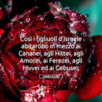 Picture 05 - Giudici 3:5 RIV - Così i figliuoli d’Israele abitarono in mezzo - Bible Verse Picture