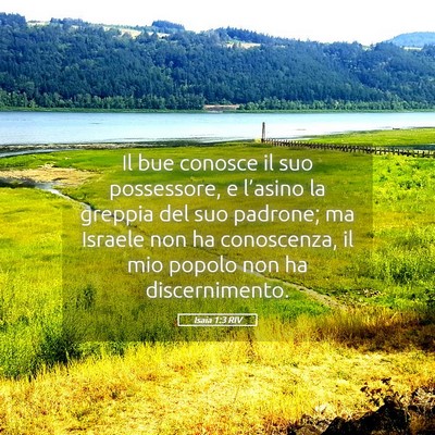 Picture 05 - Isaia 1:3 RIV - Il bue conosce il suo possessore, e l’asino la - Bible Verse Picture