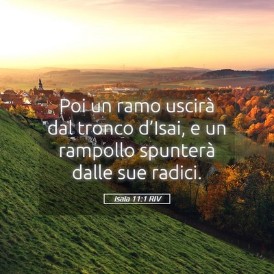 Picture 05 - Isaia 11:1 RIV - Poi un ramo uscirà dal tronco d’Isai, e un - Bible Verse Picture