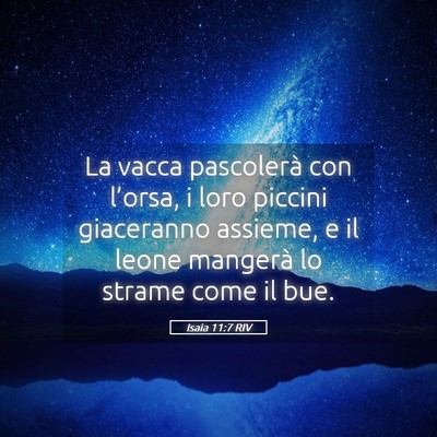 Picture 05 - Isaia 11:7 RIV - La vacca pascolerà con l’orsa, i loro piccini - Bible Verse Picture
