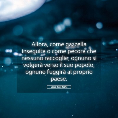 Picture 05 - Isaia 13:14 RIV - Allora, come gazzella inseguita o come pecora che - Bible Verse Picture