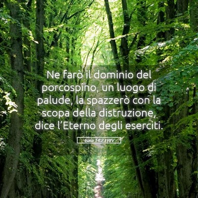 Picture 05 - Isaia 14:23 RIV - Ne farò il dominio del porcospino, un luogo di - Bible Verse Picture
