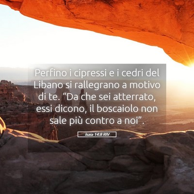 Picture 05 - Isaia 14:8 RIV - Perfino i cipressi e i cedri del Libano si - Bible Verse Picture