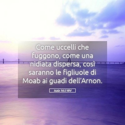Picture 05 - Isaia 16:2 RIV - Come uccelli che fuggono, come una nidiata - Bible Verse Picture