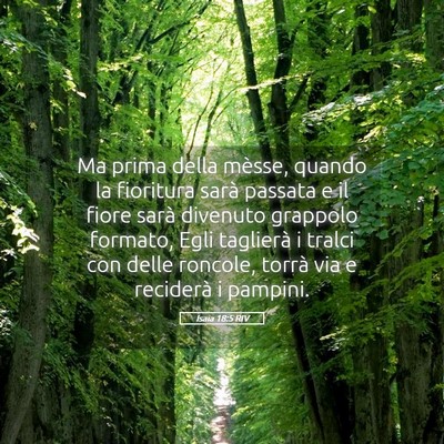 Picture 05 - Isaia 18:5 RIV - Ma prima della mèsse, quando la fioritura sarà - Bible Verse Picture