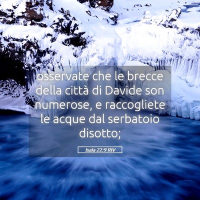Picture 05 - Isaia 22:9 RIV - osservate che le brecce della città di Davide - Bible Verse Picture