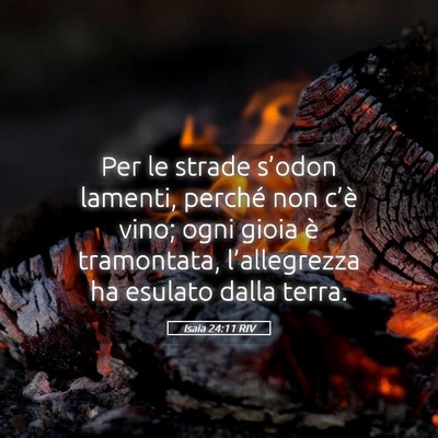 Picture 05 - Isaia 24:11 RIV - Per le strade s’odon lamenti, perché non - Bible Verse Picture