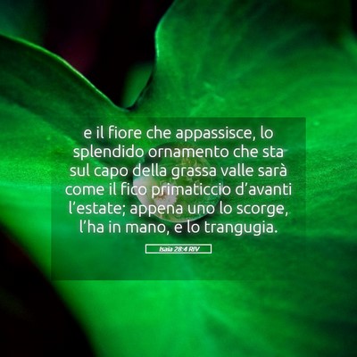 Picture 05 - Isaia 28:4 RIV - e il fiore che appassisce, lo splendido ornamento - Bible Verse Picture