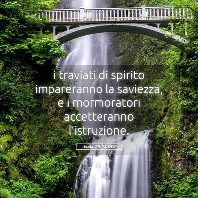 Picture 05 - Isaia 29:24 RIV - i traviati di spirito impareranno la saviezza, e - Bible Verse Picture