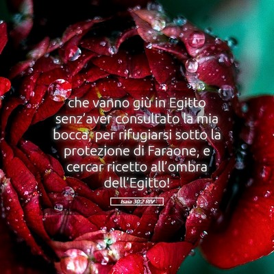 Picture 05 - Isaia 30:2 RIV - che vanno giù in Egitto senz’aver consultato - Bible Verse Picture