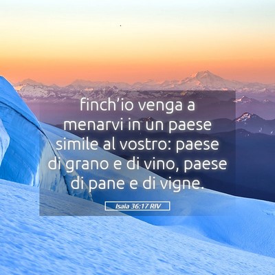 Picture 05 - Isaia 36:17 RIV - finch’io venga a menarvi in un paese simile al - Bible Verse Picture