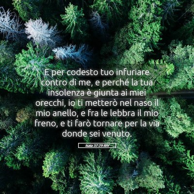 Picture 05 - Isaia 37:29 RIV - E per codesto tuo infuriare contro di me, e - Bible Verse Picture