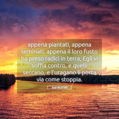 Picture 05 - Isaia 40:24 RIV - appena piantati, appena seminati, appena il loro - Bible Verse Picture