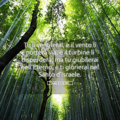 Picture 05 - Isaia 41:16 RIV - Tu li ventilerai, e il vento li porterà via, e - Bible Verse Picture