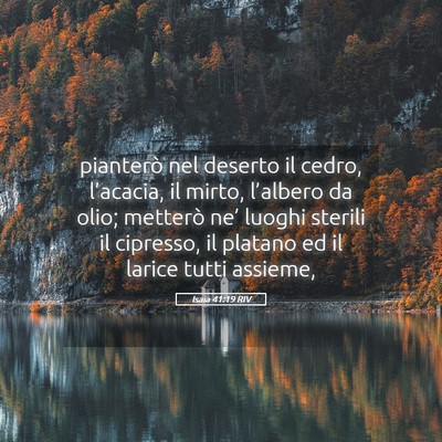 Picture 05 - Isaia 41:19 RIV - pianterò nel deserto il cedro, l’acacia, il - Bible Verse Picture