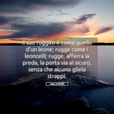 Picture 05 - Isaia 5:29 RIV - Il suo ruggito è come quello d’un leone; rugge - Bible Verse Picture
