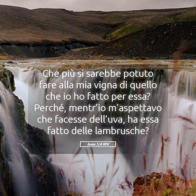 Picture 05 - Isaia 5:4 RIV - Che più si sarebbe potuto fare alla mia vigna di - Bible Verse Picture