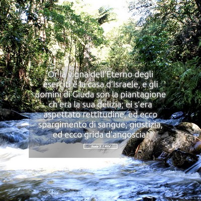Picture 05 - Isaia 5:7 RIV - Or la vigna dell’Eterno degli eserciti è la - Bible Verse Picture