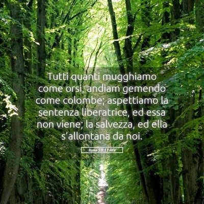 Picture 05 - Isaia 59:11 RIV - Tutti quanti mugghiamo come orsi, andiam gemendo - Bible Verse Picture