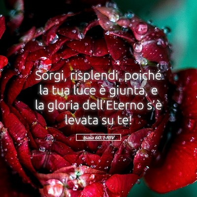 Picture 05 - Isaia 60:1 RIV - Sorgi, risplendi, poiché la tua luce è giunta, - Bible Verse Picture
