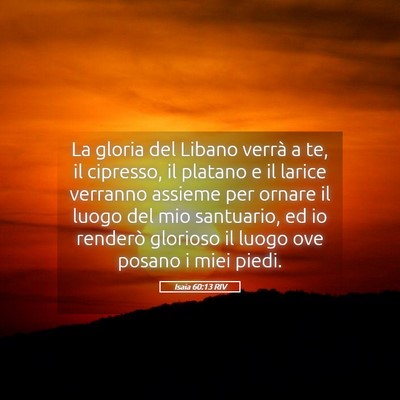 Picture 05 - Isaia 60:13 RIV - La gloria del Libano verrà a te, il cipresso, il - Bible Verse Picture