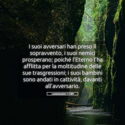 Picture 05 - Lamentazioni 1:5 RIV - I suoi avversari han preso il sopravvento, i suoi - Bible Verse Picture