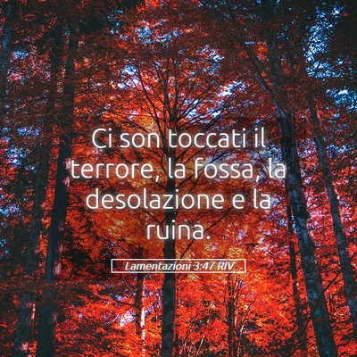 Picture 05 - Lamentazioni 3:47 RIV - Ci son toccati il terrore, la fossa, la - Bible Verse Picture