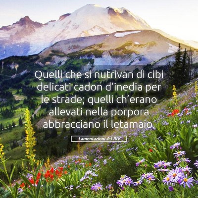 Picture 05 - Lamentazioni 4:5 RIV - Quelli che si nutrivan di cibi delicati cadon - Bible Verse Picture