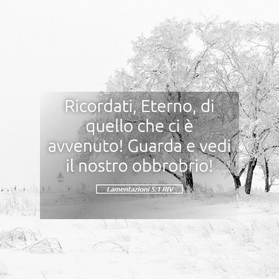 Picture 05 - Lamentazioni 5:1 RIV - Ricordati, Eterno, di quello che ci è avvenuto! - Bible Verse Picture
