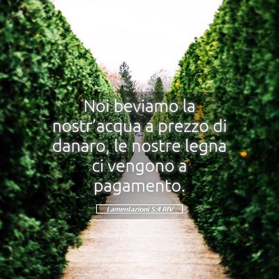 Picture 05 - Lamentazioni 5:4 RIV - Noi beviamo la nostr’acqua a prezzo di danaro, - Bible Verse Picture