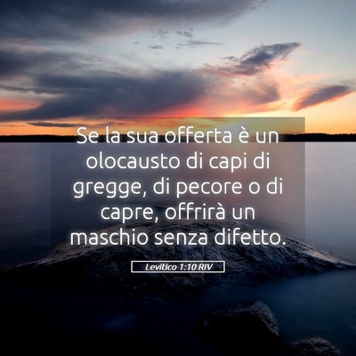 Picture 05 - Levitico 1:10 RIV - Se la sua offerta è un olocausto di capi di - Bible Verse Picture