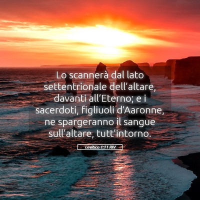 Picture 05 - Levitico 1:11 RIV - Lo scannerà dal lato settentrionale - Bible Verse Picture