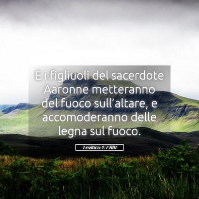 Picture 05 - Levitico 1:7 RIV - E i figliuoli del sacerdote Aaronne metteranno - Bible Verse Picture