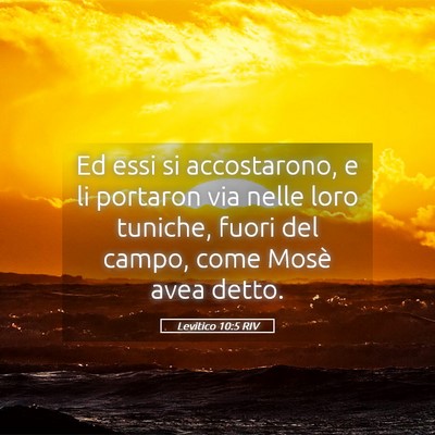Picture 05 - Levitico 10:5 RIV - Ed essi si accostarono, e li portaron via nelle - Bible Verse Picture